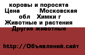 коровы и поросята › Цена ­ 100 - Московская обл., Химки г. Животные и растения » Другие животные   